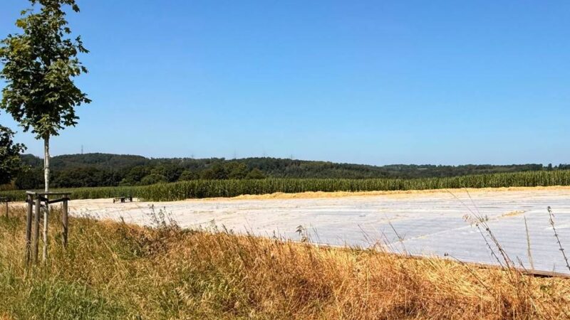 Ortschaft Niedernfeld in Radevormwald: Warum ein Feld an der B 229 mit Platten abgedeckt ist