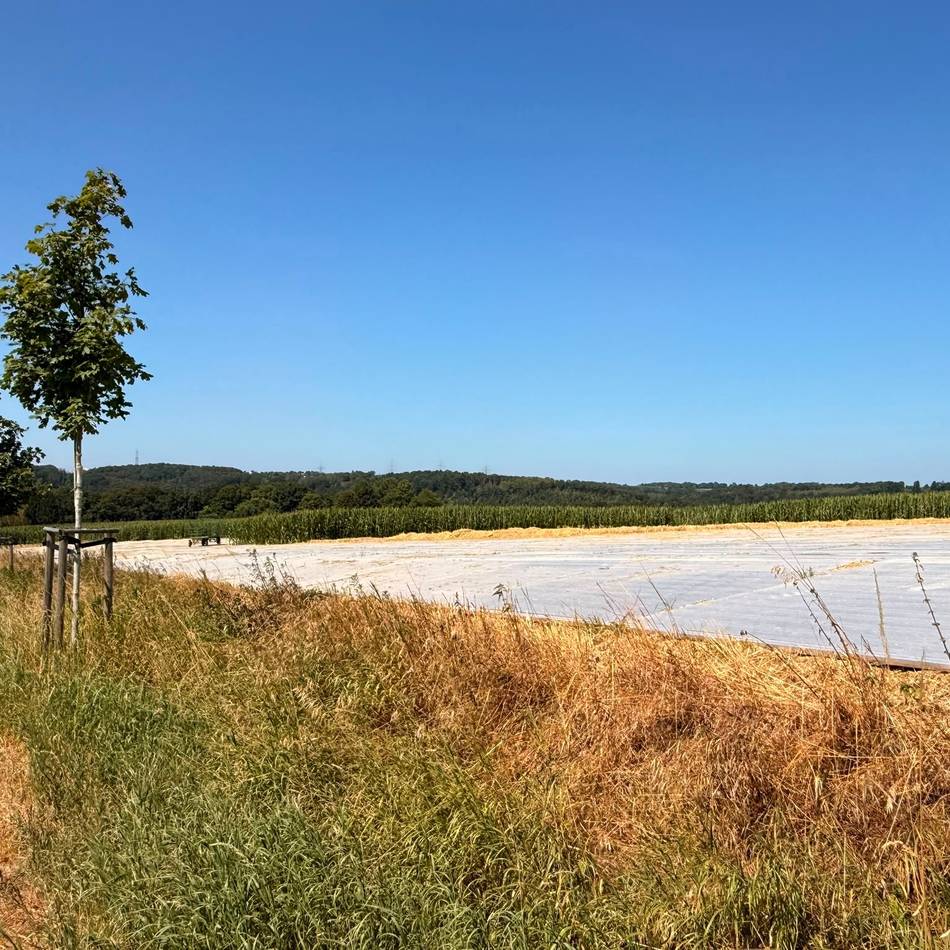 Ortschaft Niedernfeld in Radevormwald: Warum ein Feld an der B 229 mit Platten abgedeckt ist