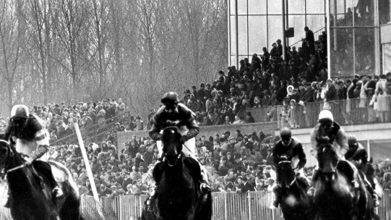 Galoppsport-Geschichte in Neuss: Die Laga und ihre Rennbahn-Vergangenheit – „Wir haben den Erklärungsbedarf unterschätzt“