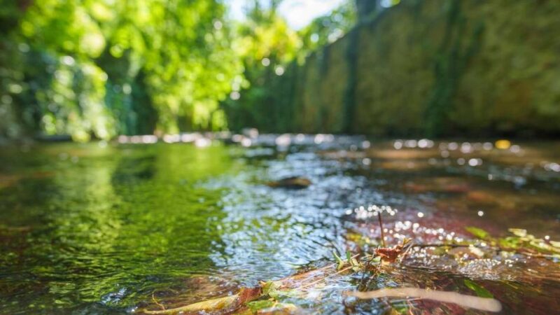 Trockenheit im Rheinisch-Bergischen Kreis: Für die Dhünn gelten nun Einschränkungen bei der Wasserentnahme