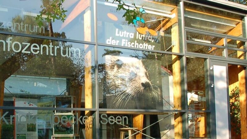 Biostation in Hinsbeck feiert Geburtstag: 30 Jahre Naturschutzbildung für die Öffentlichkeit