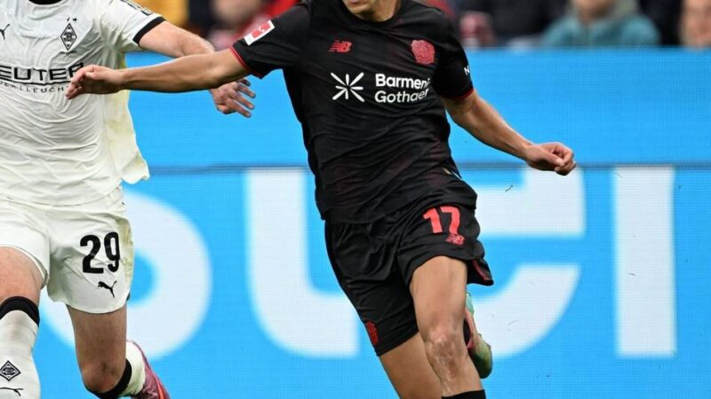 Frankreich als Vorteil?: Diese Bayer-Profis könnten vom Trainerwechsel profitieren