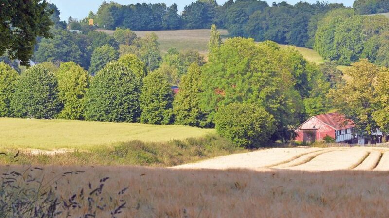 Gewerbegebiet: Das „Große Feld“ kann bebaut werden