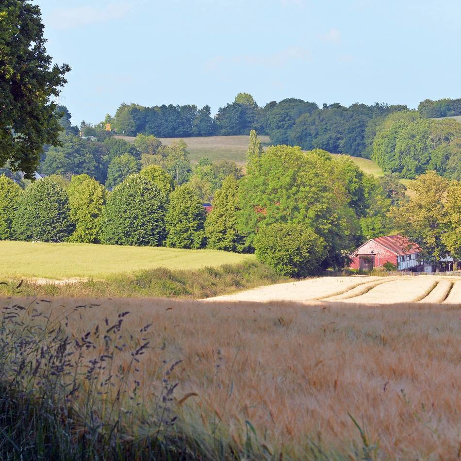 Gewerbegebiet: Das „Große Feld“ kann bebaut werden