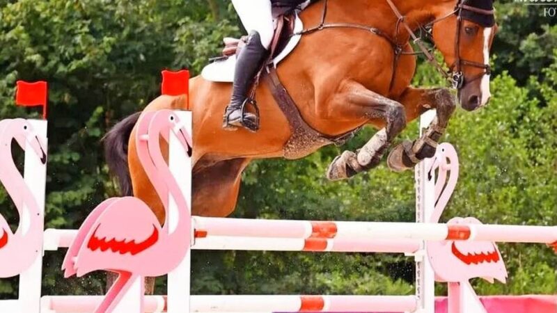 Reitsport in Grevenbroich: Wie der RuFV Wevelinghoven dem Trend trotzt