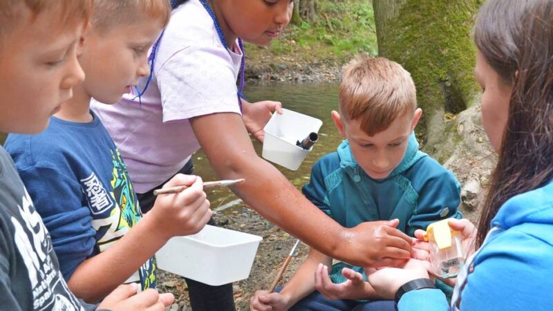 Im Rahmen des Ferienspaßes für Kinder wirft das Naturerlebniszentrum im Schloss seine Schatten voraus: Der Hardenberger Bach ist ein Forscherparadies