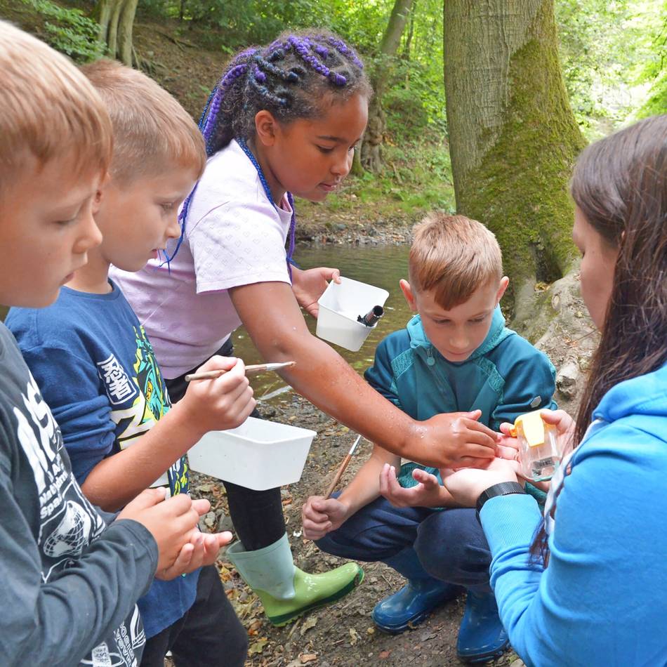 Im Rahmen des Ferienspaßes für Kinder wirft das Naturerlebniszentrum im Schloss seine Schatten voraus: Der Hardenberger Bach ist ein Forscherparadies