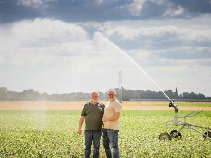 Landwirtschaft im Kreis Kleve: „Wenn der Bauer stirbt, stirbt Kultur“ – Landwirte warnen vor weiterem Höfesterben