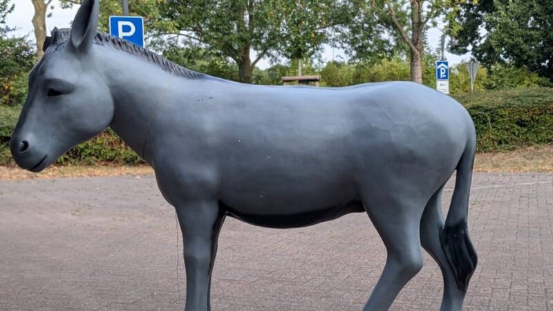 Polizei sucht mögliche Zeugen: Unbekannte stehlen Weseler Eselfigur und legen sie auf einem Spielplatz ab