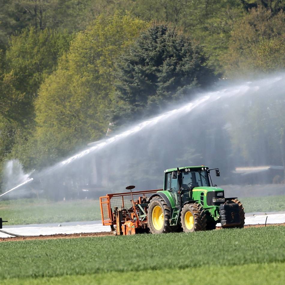 Landwirtschaft in der Region: Die Trockenheit bedroht die Ernte am Niederrhein