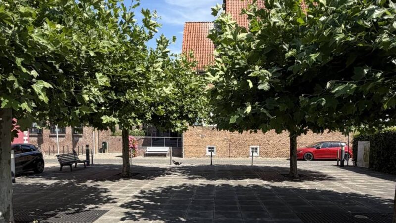 Dreimal am Donnerstag: So wird der Feierabendmarkt in Kranenburg vor dem Museum
