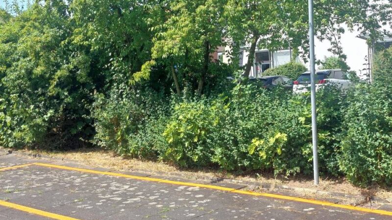 Metropolradruhr startet: Leihräder per App – Moers vernetzt sich mit Duisburg