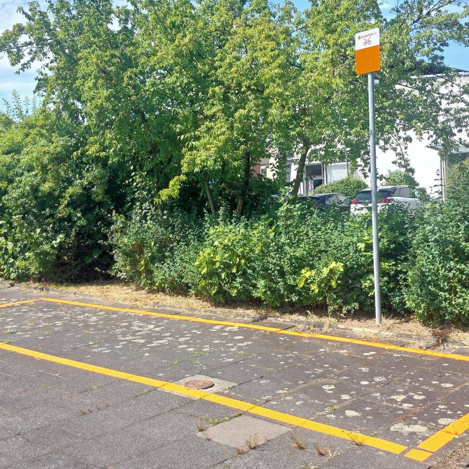 Metropolradruhr startet: Leihräder per App – Moers vernetzt sich mit Duisburg