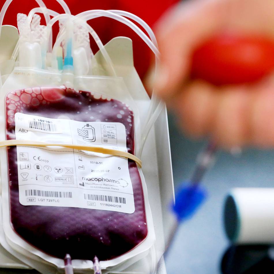 Blutspende in Mettmann: Blutmangel nach Hitzewelle – DRK sucht Spender