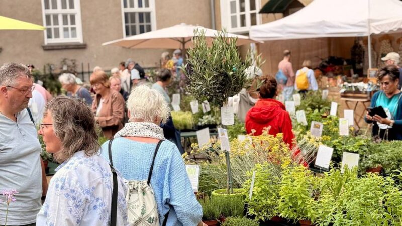 So schön war der Pflanzenmarkt: Raritätenmarkt in Knechtsteden zieht Besucher aus ganz NRW an