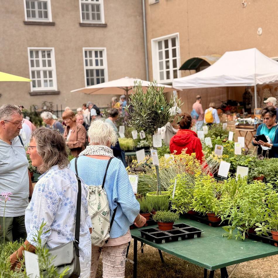So schön war der Pflanzenmarkt: Raritätenmarkt in Knechtsteden zieht Besucher aus ganz NRW an