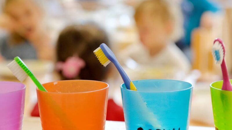Kindertagesbetreuung: Das ist der neue Träger der Kita „Glückskäfer“ in Stürzelberg