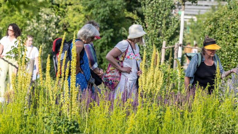 Leserumfrage zur Landesgartenschau: Die Neusser und die Laga – ist das Liebe?