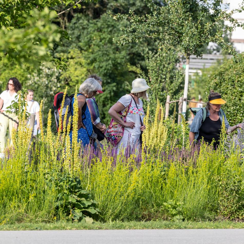Leserumfrage zur Landesgartenschau: Die Neusser und die Laga – ist das Liebe?
