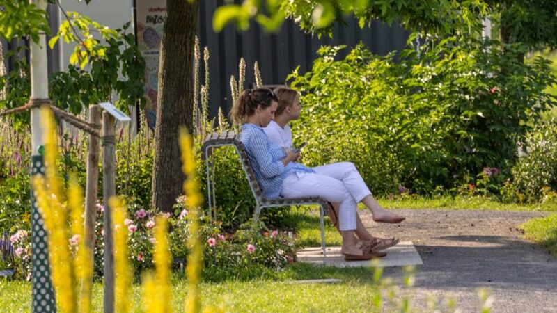 Halbzeitbilanz in Neuss: Zahl der Veranstaltungen schon auf Rekordniveau