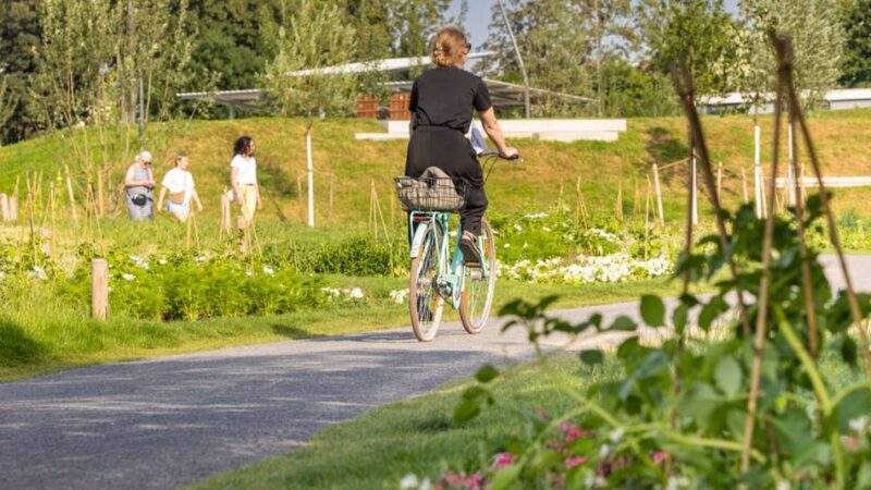 Neusser SPD sammelt Ideen und Wünsche: Wie geht es nach der Laga mit dem Stadtpark weiter?