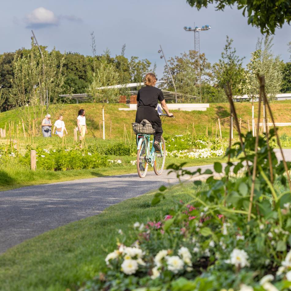 Neusser SPD sammelt Ideen und Wünsche: Wie geht es nach der Laga mit dem Stadtpark weiter?