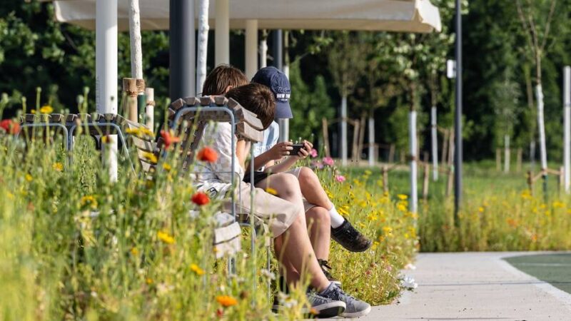 Ihre Meinung ist gefragt: Landesgartenschau in Neuss – grünes Herz oder großer Quatsch?