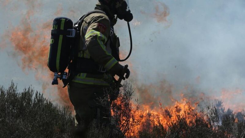 Feuerwehren Niederkrüchten und Schwalmtal üben den Ernstfall: Wie hoch die Waldbrandgefahr in der Region tatsächlich ist