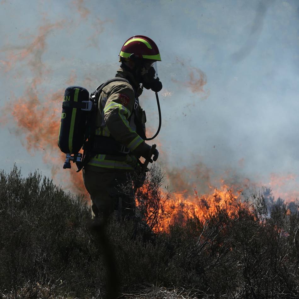 Feuerwehren Niederkrüchten und Schwalmtal üben den Ernstfall: Wie hoch die Waldbrandgefahr in der Region tatsächlich ist
