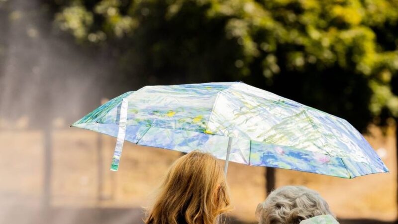 Heiße Tage in Meerbusch: Bürgermeister ruft wegen Hitze zu mehr Nachbarschaftshilfe auf