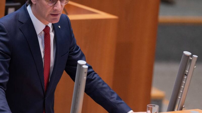 Kolumne Denkanstoß: Warum ein Parteiverbot demokratisch ist