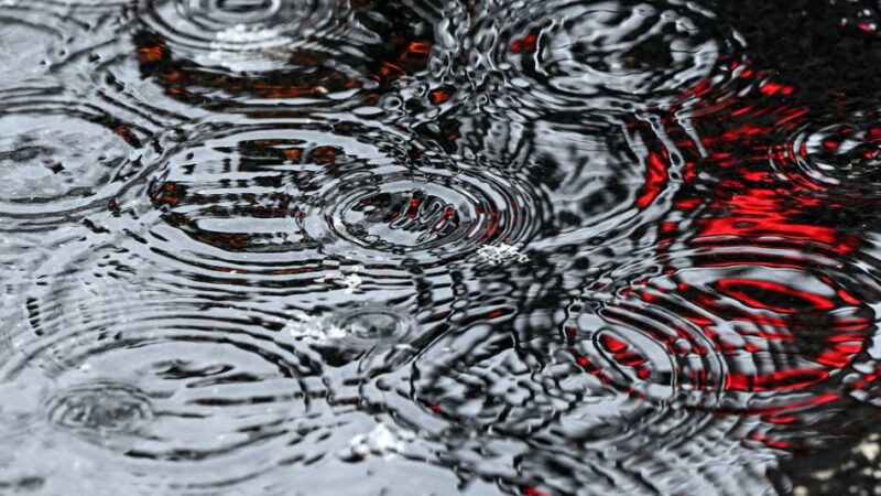 Wasserwirtschaft in Hilden: Bürgeraktion: Neue Anlage dient nicht dem Hochwasserschutz