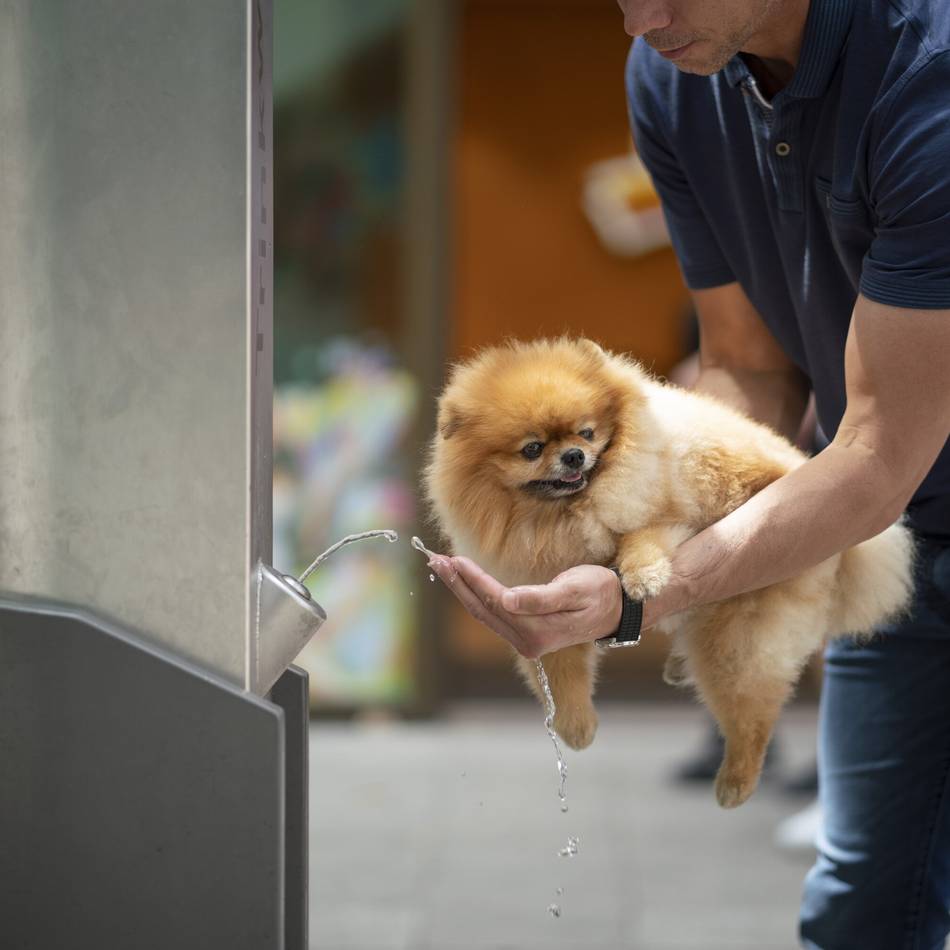 Moers und Umgebung : Schattige Wege, Hundestrand und Leberwursteis – Tipps für den Sommer mit Hund