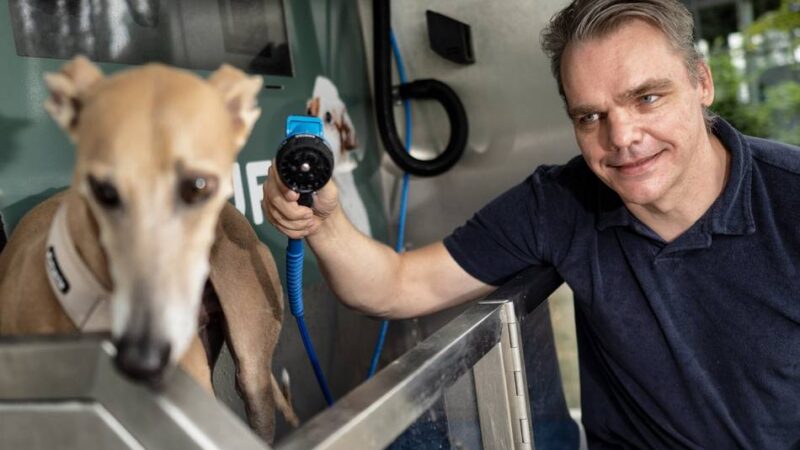 Gegen Schmutz nach dem Gassi gehen: Erste Hunde-Waschanlage in Monheim zieht Neugierige an