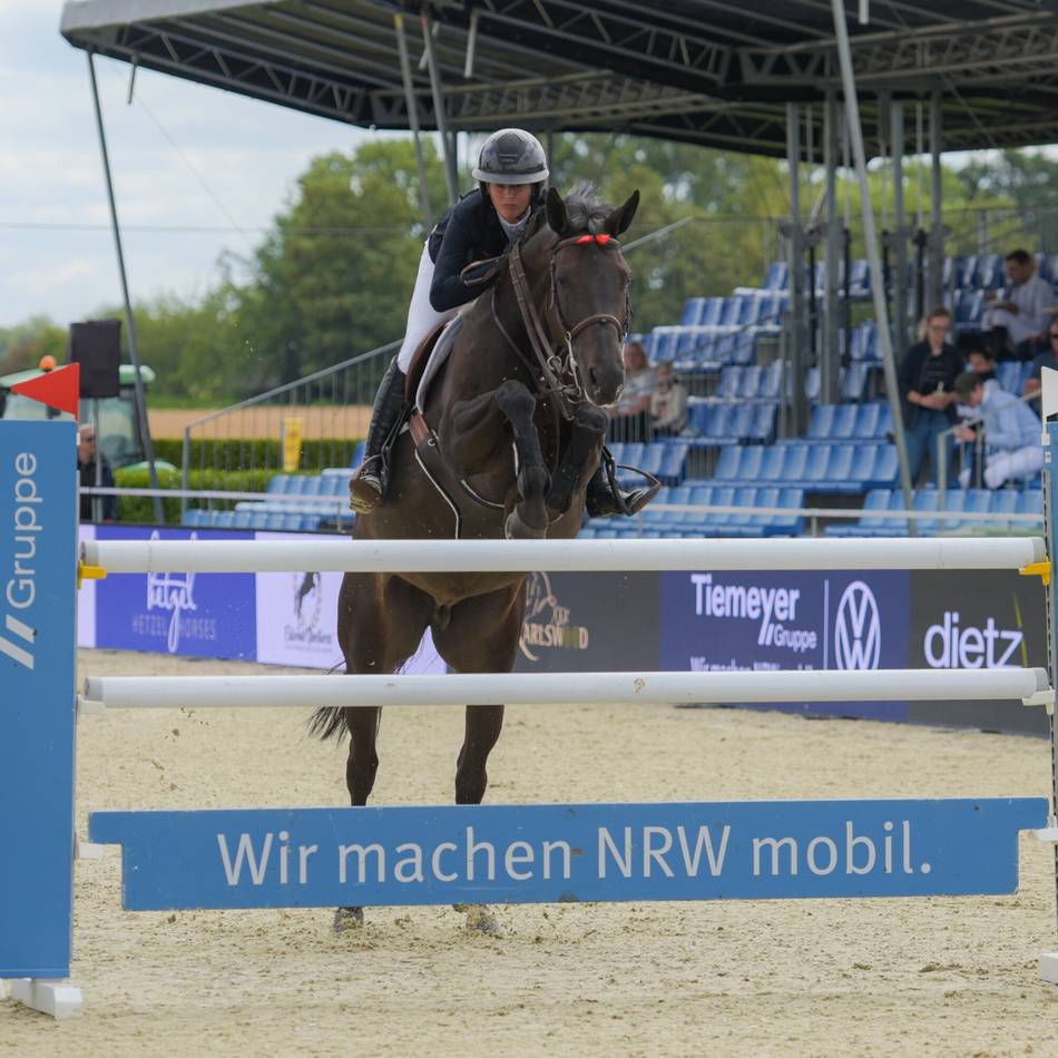 Internationaler Spitzen-Reitsport: Pfalzdorf liefert Vorgeschmack auf die Reit-Weltmeisterschaft