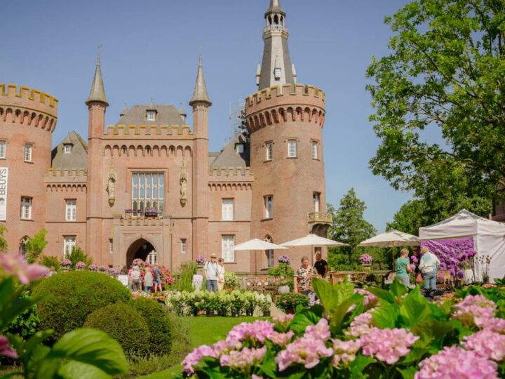 Schloss Moyland in Bedburg-Hau: Das bietet das Hortensienfest unter neuem Namen „Moyland blüht“