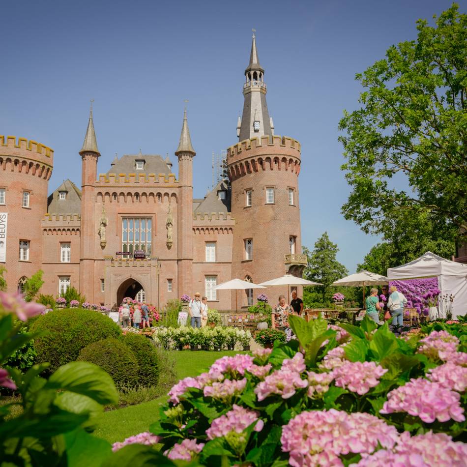 Schloss Moyland in Bedburg-Hau: Das bietet das Hortensienfest unter neuem Namen „Moyland blüht“