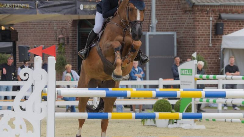 Internationales Reitturnier in Goch: Europameister Richard Vogel gewinnt erstes S-Springen