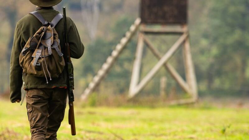 Vorfall in Neuss: Verfahren nach tödlichem Schuss auf Pony abgeschlossen – Details bleiben offen