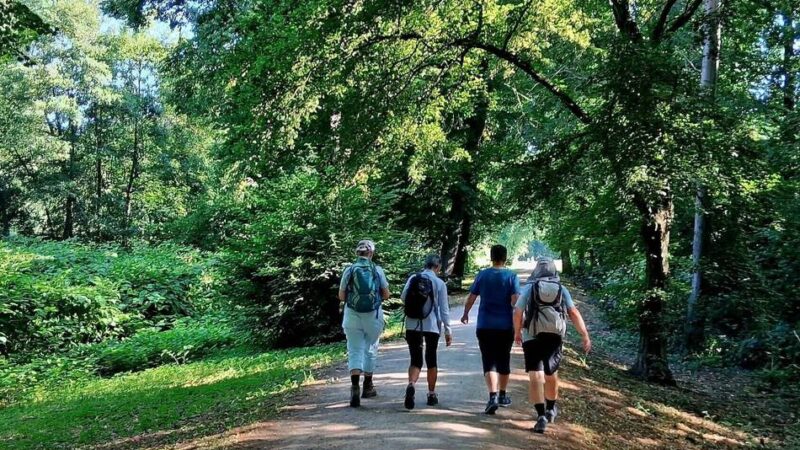 SGV Langenfeld/Monheim: Wandertouren durch Neandertal und Rurtal – das SGV-Programm im August