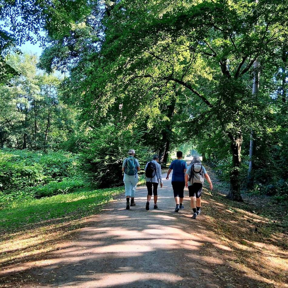 SGV Langenfeld/Monheim: Wandertouren durch Neandertal und Rurtal – das SGV-Programm im August