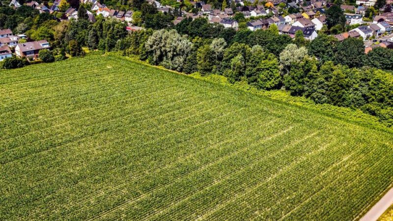 Geplanter Sportplatz am Flachenhof in Langenfeld: Anwohner kämpfen gegen Sportplatz am Flachenhof