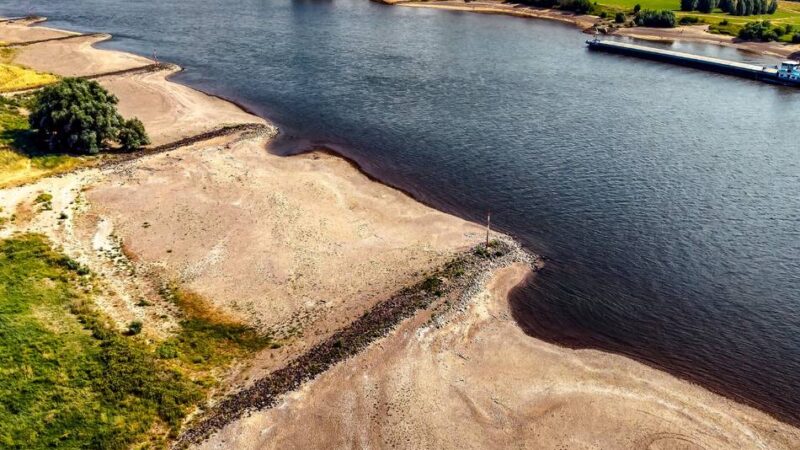 Niedrigwasser in Monheim: So kämpft sich das Piwipper Böötchen durch die Sandbänke