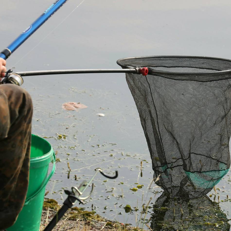 Neuer Fischereischein in Hilden: „Digifish“ jetzt auch im Bürgerbüro Hilden