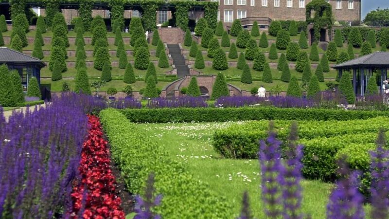 Rheinberger besuchen Klostergarten in Kamp: Heimatverein beginnt am Montag mit neuen Exkursionen