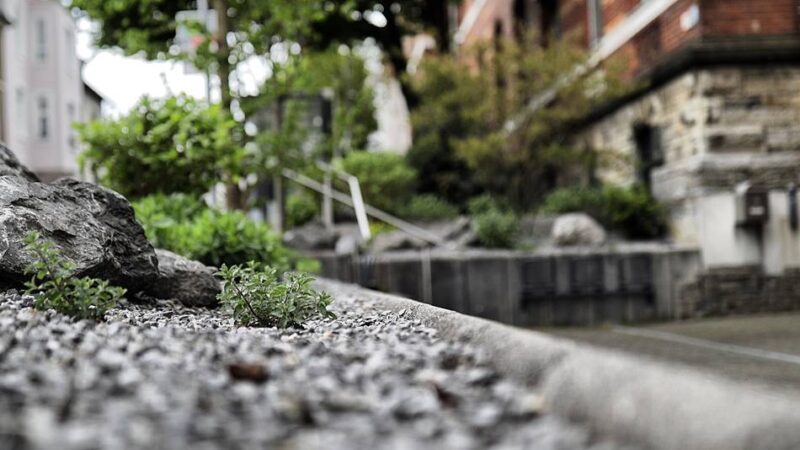 Klimaschutz in Mettmann: BUND fordert Aus für Schottergärten in Mettmann