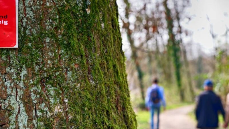 Freizeit im Kreis Mettmann: Frohe Botschaft für den Neanderlandsteig