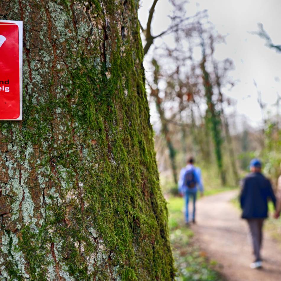 Freizeit im Kreis Mettmann: Frohe Botschaft für den Neanderlandsteig