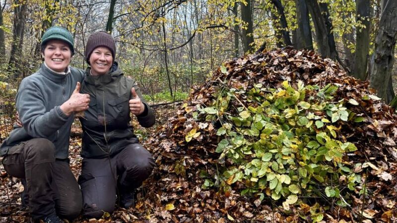 Was steckt hinter dem Natur-Trend?: „Erwachsene haben beim Waldbaden angefangen zu weinen“