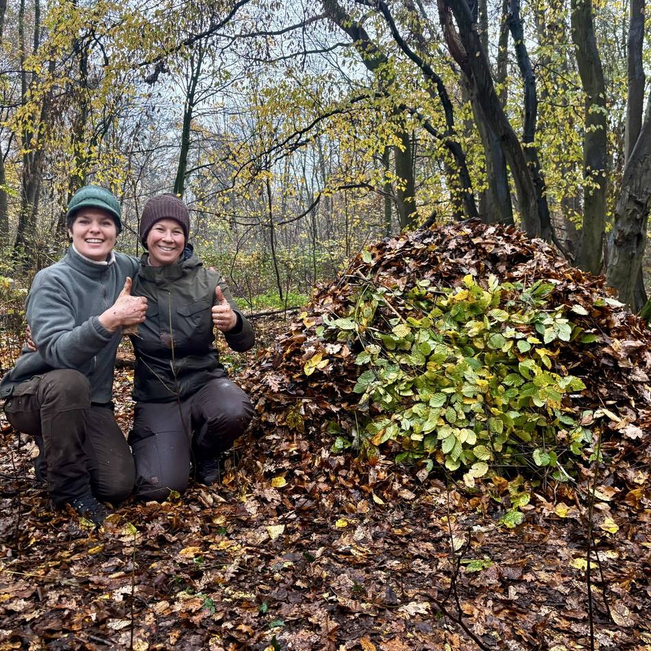 Was steckt hinter dem Natur-Trend?: „Erwachsene haben beim Waldbaden angefangen zu weinen“